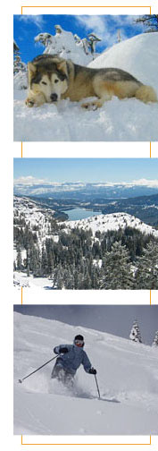 donner_summit_vertical